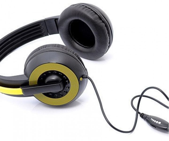 Наушники Gemix HP-661MV Black, 2 x Mini jack (3.5 мм), накладные, выдвижной микрофон, кабель 2.4 м